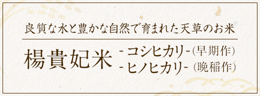 良質な水と豊かな自然で育まれた天草のお米 楊貴妃米 -コシヒカリ--ヒノヒカリ-